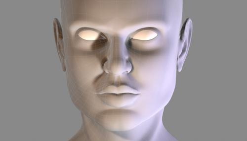 Female Head preview image